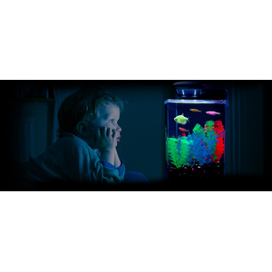 ТЕРНЕЦИЯ ГЛО КРАСНАЯ КРУПНАЯ (красный глаз)