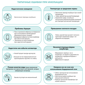 АРТЕМИЯ НАУПЛИИ 50г замороженные для кормления малька