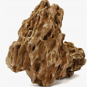 КАМЕНЬ ДРАКОН