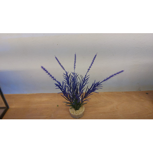 ЛАВАНДА ФИОЛЕТОВАЯ