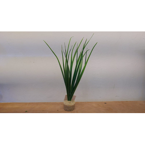 АКОРУС ЗЕЛЕНЫЙ 20-25 СМ / РАСТЕНИЕ ИСКУССТВЕННОЕ