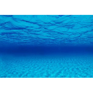 Фон двусторонний Морская лагуна/Натуральная мистика