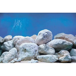 Фон двусторонний (пленка) Водный сад/Светлые камни