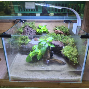 Акватеррариум с декором 18л 30х30х20, готовое решение.