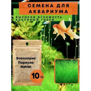 Семена Элеохарис Парвула 10г растения для проращивания в