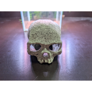 ST1501 Декорация Череп белый