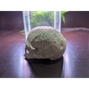 ST1501 Декорация Череп белый