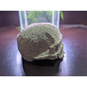 ST1501 Декорация Череп белый