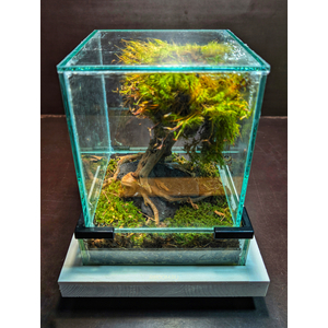 ПОДСТАВКА ПОД АКВАРИУМ 5 ЛИТРОВ ( 200Х200Х40 ) цвет в ассортименте