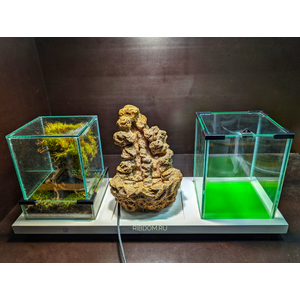 ПОДСТАВКА ПОД 3 АКВАРИУМА 5 ЛИТРОВ ( 600Х200Х40 ) цвет в ассортименте