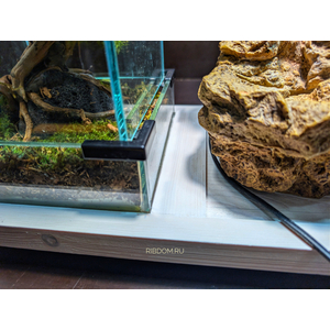 ПОДСТАВКА ПОД 3 АКВАРИУМА 5 ЛИТРОВ ( 600Х200Х40 ) цвет в ассортименте