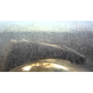 ИНФУЗОРИЯ ТУФЕЛЬКА ЖИВОЙ КОРМ ДЛЯ КОРМЛЕНИЯ МАЛЬКА 500мл