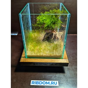 АКВАРИУМ КУБ 5 ЛИТРОВ ДЛЯ ПЕТУШКА (с покровным стеклом) 16Х16Х20см