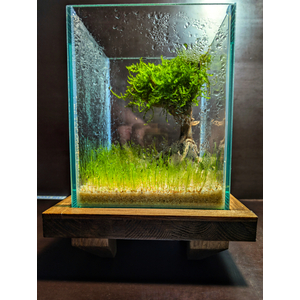 АКВАРИУМ КУБ 5 ЛИТРОВ ДЛЯ ПЕТУШКА (с покровным стеклом) 16Х16Х20см