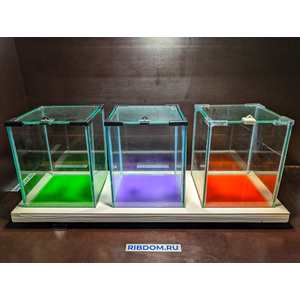АКВАРИУМ КУБ 5 ЛИТРОВ ДЛЯ ПЕТУШКА (с покровным стеклом) 16Х16Х20см