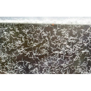 МИКРОЧЕРВЬ ДЛЯ КОРМЛЕНИЯ МАЛЬКА