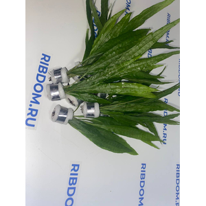 ПАПОРОТНИК ТАИЛАНДСКИЙ - Microsorum pteropus