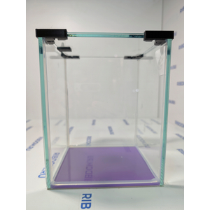 Данная модель аквариумов склеена клеем европейского производителя, срок годности не ограничен. Имеет стеклянную крышку. Подойдет для содержания гуппи эндлера, креветок, пецилий, данио, крабиков, раков, лягушек и др. Наличие покровного стекла гарантирует безопасность для таких рыбок как петушок, креветок и других видов которые склонны к выпрыгиванию из аквариума, плюс сохраняется тепло внутри куба по сравнению с открытыми аквариумами.