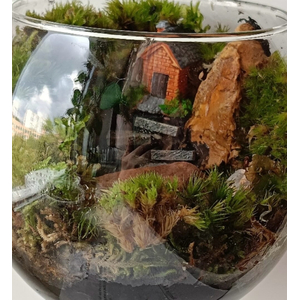 МОХ ассорти ДЛЯ ТЕРРАРИУМА / ПАЛЮДАРИУМА / ФЛОРАРИУМА