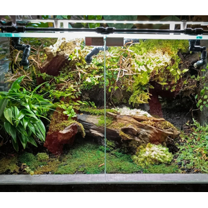 МОХ ассорти ДЛЯ ТЕРРАРИУМА / ПАЛЮДАРИУМА / ФЛОРАРИУМА