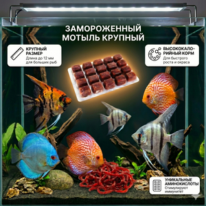 МОТЫЛЬ КРУПНЫЙ замороженный в блистере 100мл