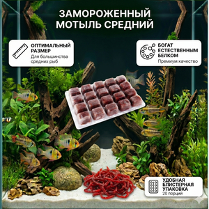 МОТЫЛЬ СРЕДНИЙ замороженный в блистере 100мл