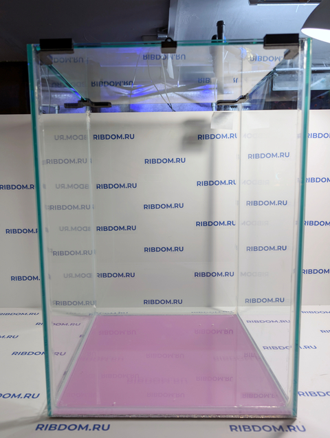 Данная модель аквариумов склеена клеем европейского производителя, срок годности не ограничен. Имеет стеклянную крышку. Подойдет для содержания гуппи эндлера, креветок, пецилий, данио, крабиков, раков, лягушек и др. Наличие покровного стекла гарантирует безопасность для таких рыбок как петушок, креветок и других видов которые склонны к выпрыгиванию из аквариума, плюс сохраняется тепло внутри куба по сравнению с открытыми аквариумами.