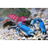 РАК ФИОЛЕТОВЫЙ - Cherax pulcher - Violet Crayfish