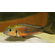 Callochromis macrops red ndole