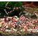 КРЕВЕТКА КРАСНЫЙ КРИСТАЛЛ - Caridina cantonensis sp. Red crystal