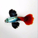 ГУППИ ДАМБО РЕД ТЕЙЛ - Dumbo red tail Guppy