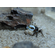 Краб - Скрипач - Tubuca (Fiddler Crab) — род полусухопутных крабов из семейства Ocypodidae.