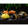 Clithon donovani Sun Snail — некрупный представитель семейства Neritina, популярный в аквариумистике. Также известна как «Солнечная рогатая» (пресноводная рогатая).