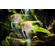 Скалярия «Платина» — селекционная форма обыкновенной скалярии (Pterophyllum scalare). Название получила благодаря светло-серебристой чешуе, которой покрыто тело.