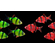 Барбус GloFish (например, красно-чёрный) — генетически модифицированная разновидность суматранского барбуса, обладающая яркой окраской и способностью светиться при ультрафиолетовом или синем освещении.