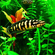 Юлидохромис Транскриптус (Julidochromis Transcriptus) — вид цихлид, известный также как масковый юлидохромис.