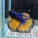 Петушок супердельта (Betta splendens Super Delta) — селекционная форма сиамского петушка, отличающаяся особым строением хвостового плавника и яркой окраской.