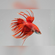 Петушок коронохвостый (Betta Crowntail) — селекционная форма лабиринтовой рыбки петушка. Отличается уникальной формой хвостового плавника, который при переворачивании рыбки вниз головой напоминает зубцы короны.