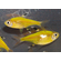 Тетра Пристелла Гло Жёлтая (Pristella maxillaris GloFish) — генетически модифицированная версия обычной пристеллы, известная своей яркой флуоресцентной окраской.