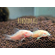 Коридорас золотистый альбинос (Corydoras aeneus albino) — селекционная форма крапчатого коридораса, не встречающаяся в природе. Отличается от номинального вида отсутствием пигмента.