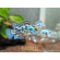 Блю Демпси (Cichlasoma sp. Blue Dempsey).

Отличительная особенность

Главная особенность — насыщенный голубой окрас с мерцающим эффектом. Тело почти чёрное, покрыто яркими бирюзовыми пятнами. У некоторых особей с возрастом или при стрессе окрас может бледнеть.