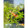 «Красный кристалл» (Caridina cantonensis sp. Crystal Red) — селекционная форма пресноводной креветки Caridina cantonensis из семейства Атидовые. Отличительная особенность — чередование чётких красных и белых полос в окрасе.