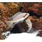 ПРИНЦЕССА БУРУНДИ - Neolamprologus brichardi