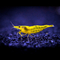 Креветка «Жёлтый огонь» (Neocaridina heteropoda var. Yellow) — селекционная форма пресноводной креветки, полученная в результате работы с дикой формой Neocaridina heteropoda.