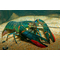 Австралийский красноклешневый рак (Cherax quadricarinatus) — пресноводное ракообразное из отряда десятиногих раков. Также известен как «рак Красный коготь».Австралийский красноклешневый рак (Cherax quadricarinatus) — пресноводное ракообразное из отряда десятиногих раков. Также известен как «рак Красный коготь».