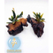 Растение на коряге БУЦЕФАЛАНДРА МИНИ ЧЕРНЫЙ КОВЕР - Bucephalandra mini black carpet